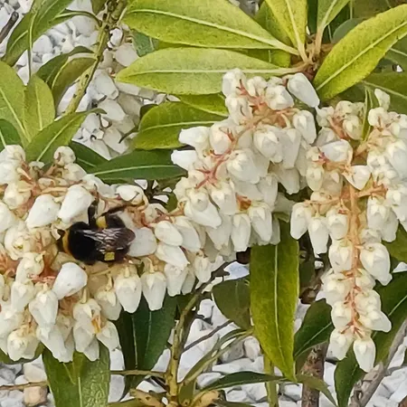 Sleepy Hollow B&B-2