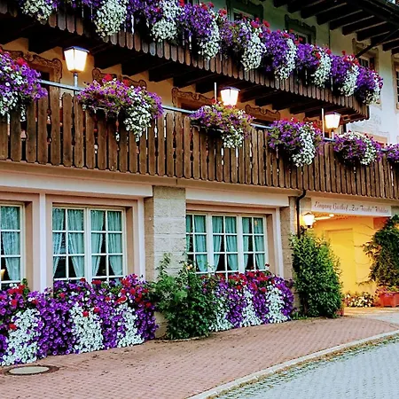 ZUR TRAUBE Schwarzwaldhotel&Restaurant am Titisee-2