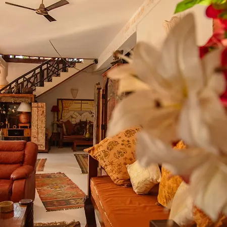 African House Resort-3