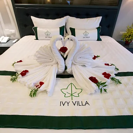Ivy Villa-2
