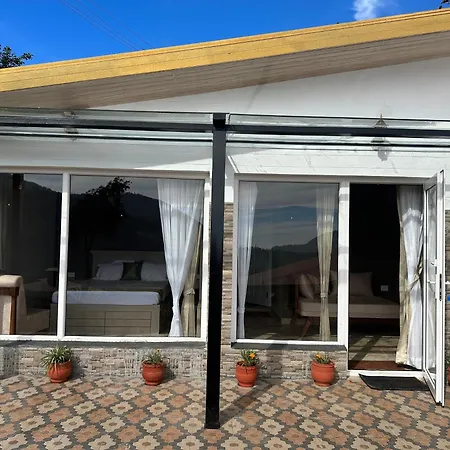 Planters Punch Resort-3