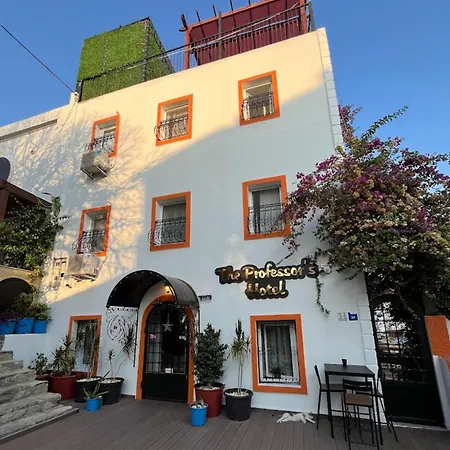 The Professor'S Hotel-2