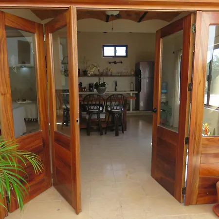 Casa Botanica-2