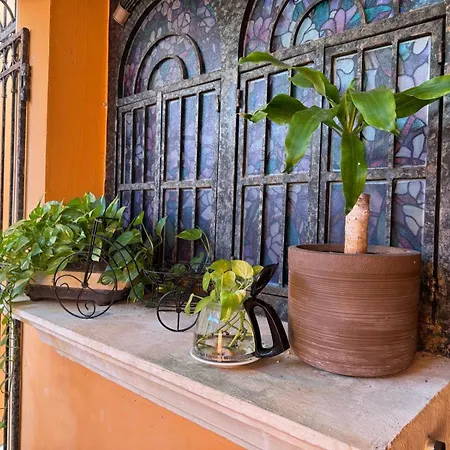 Hotel Casa Mallorca-3