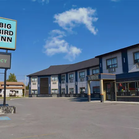 Big Bird Inn Wawa, Surestay Collection By Best Western-2
