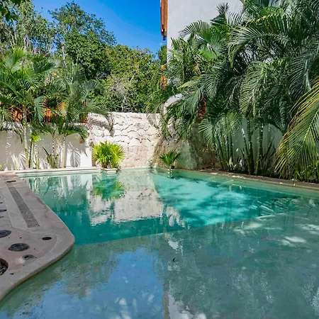 Niik Tulum-3