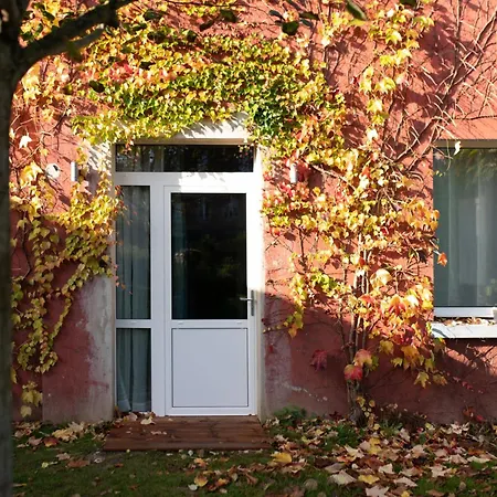 Villa Aura-3