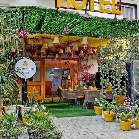 Hotel Kgf King-3