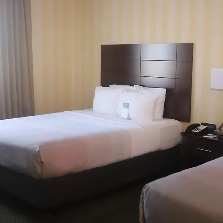 Quality Inn Colorado Springs Airport-3