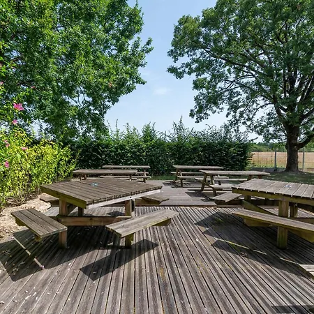 B&B Hotel Montauban-3