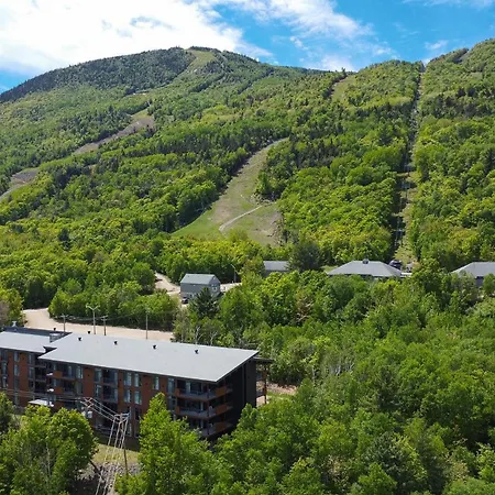 Les Appartements du Massif de Charlevoix-2
