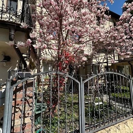 Hotel Boutique Cathedral Plaza Residences Room For Rent Downtown-3
