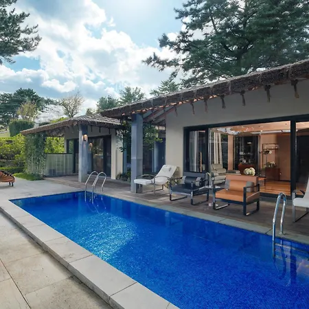 Amber Pure Hill Hotels & Resorts Jeju-3