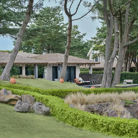 Amber Pure Hill Hotels & Resorts Jeju-2