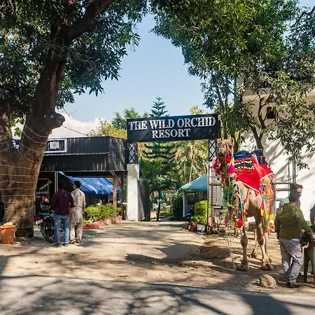 The Wild Orchid Resort Corbett-3