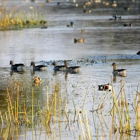 Bird Sanctuary Tourist Resort-2