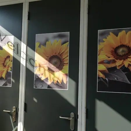 B&B Sunflower Leiden-3