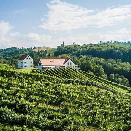 Weinschmiede 18'-2