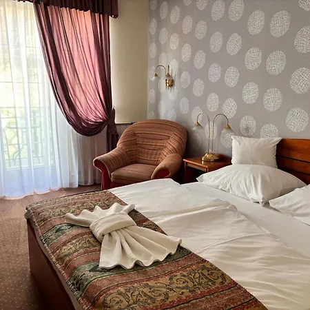 Hotel Erzsebet-3