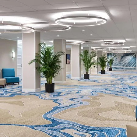 Hilton Clearwater Beach Resort & Spa-3