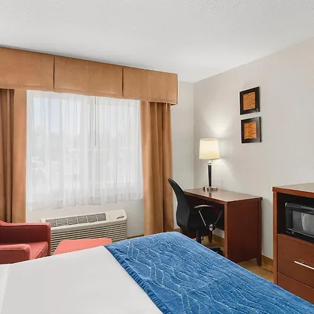 Comfort Inn & Suites Vancouver Downtown City Center-3