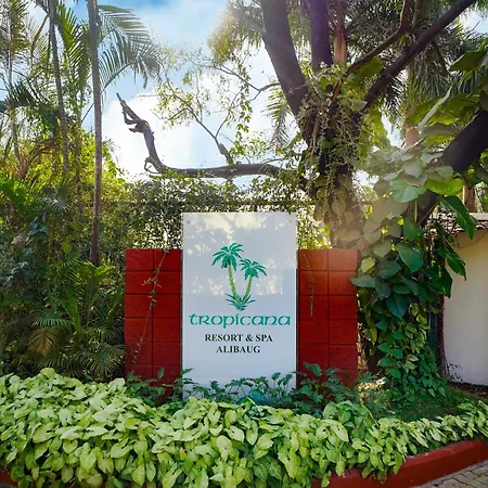 Tropicana Resort & Spa Alibaug, A Club Mahindra Associate-3