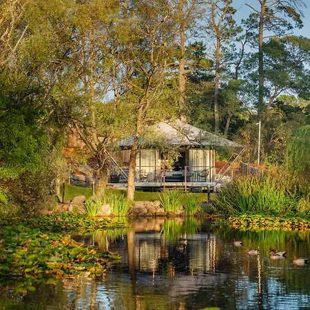 Parklands Country Gardens & Lodges Blue Mountains-2
