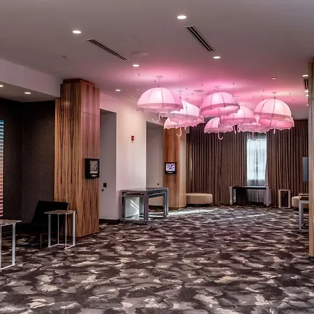 The Rose Chicago, Tapestry Collection By Hilton-3