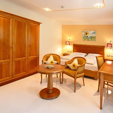 Hotel Aster-2