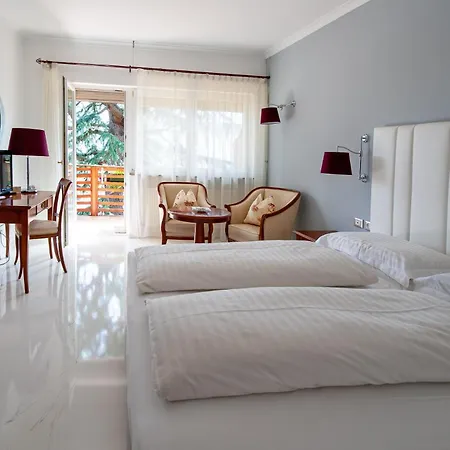 Hotel Aster-3