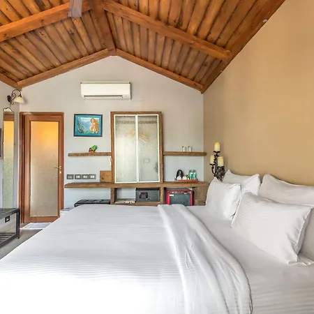 The Baga Beach Resort-2