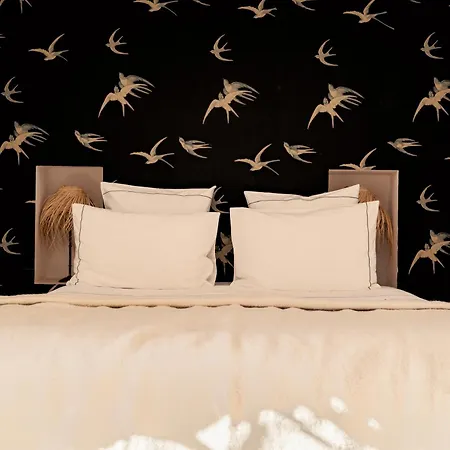 Riad Les Hirondelles Boutique Hotel And Spa-3
