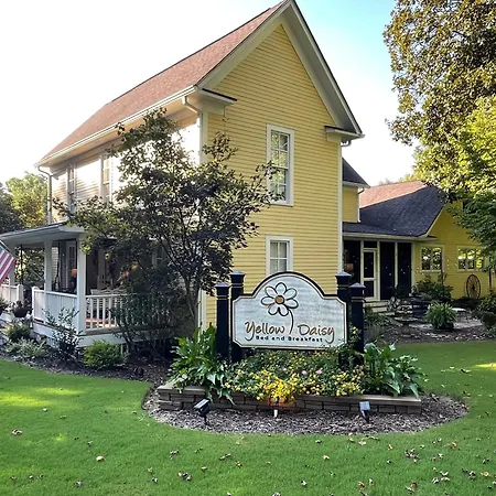 Yellow Daisy Bed And Breakfast-3