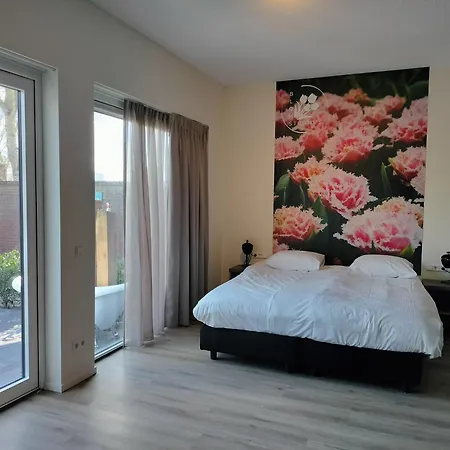 Blom Studio'S-2