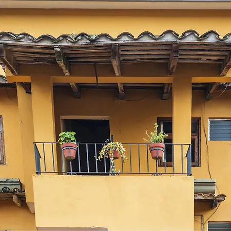 Capital O Hotel Central, Xalapa-3