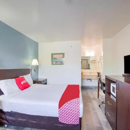 Oyo Woodland Hotel And Suites-3