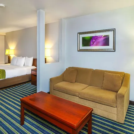 Comfort Inn & Suites-2