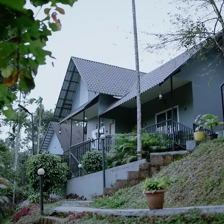 Mountain Vibes Resort Wayanad-2