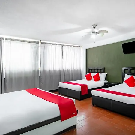 Oyo Hotel Halley-3