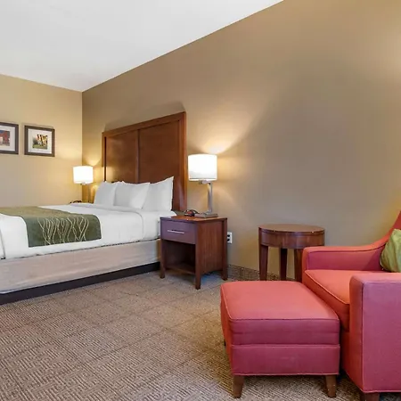 Comfort Inn Amite City-3