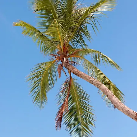 Kudhi Boli Beach House-2