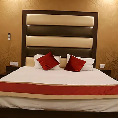 Hotel Mona Regency-3