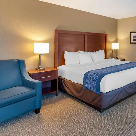 Comfort Inn Elizabeth City Near University-3