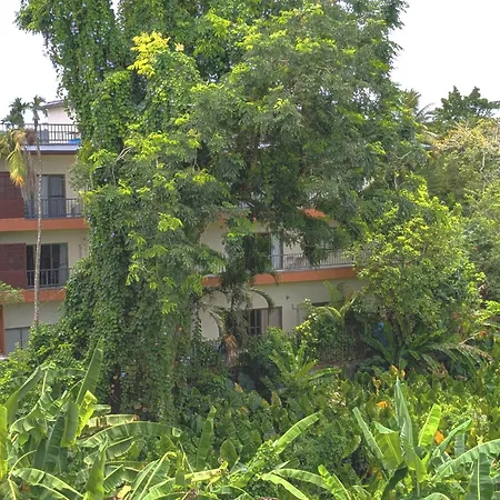 Garden Palace Downtown Koror-3