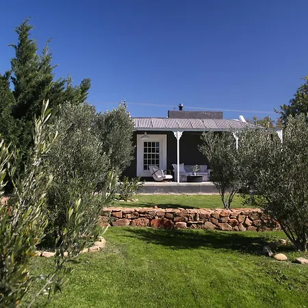 Olive Grove House-2