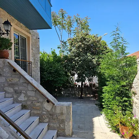 Kuğu Urla-2