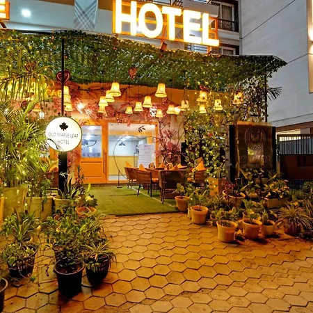 Hotel Sun Plaza-2