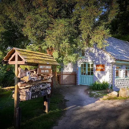 Beddgelert Cabins, Snowdonia - Forest Holidays-3