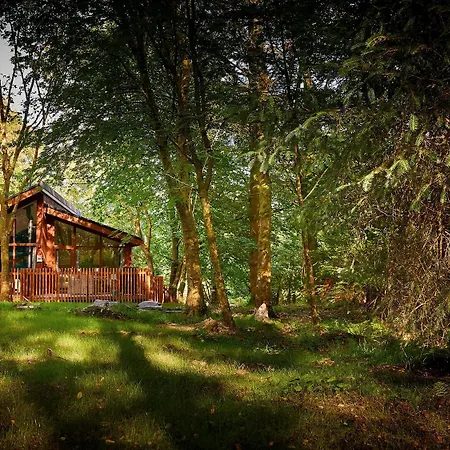 Beddgelert Cabins, Snowdonia - Forest Holidays-2