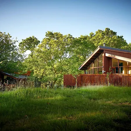 Beddgelert Cabins, Snowdonia - Forest Holidays-2